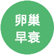 卵巢早衰